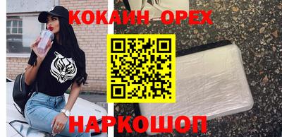 дмт Краснодар