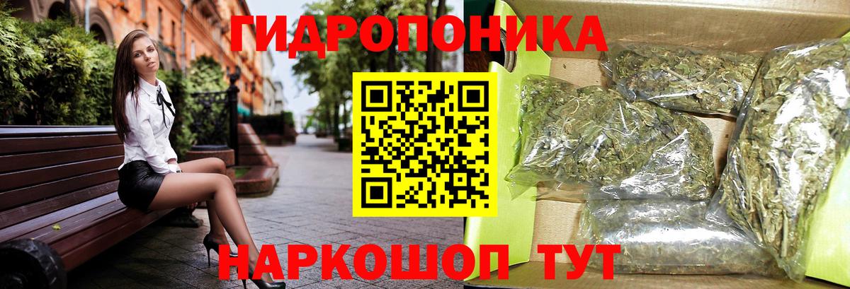 Конопля план Кыштым